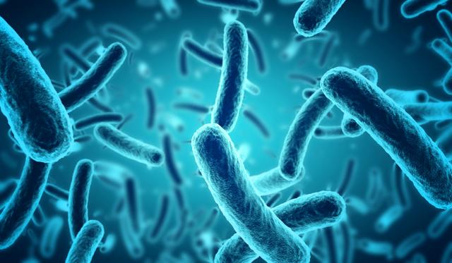 SZO objavila listu 12 najopasnijih bakterija